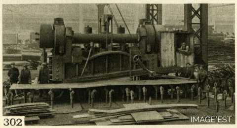 Cisaille de rive (Mont-Saint-Martin)