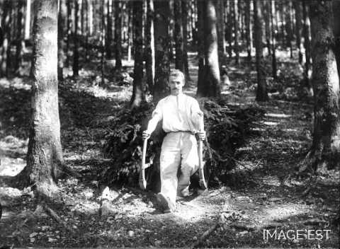 Schlitteur (Vosges)
