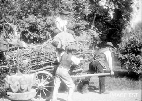 Transport de fagots (Vosges)