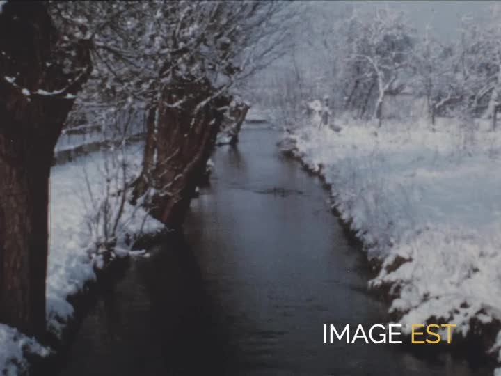 Balade dans un paysage enneigé