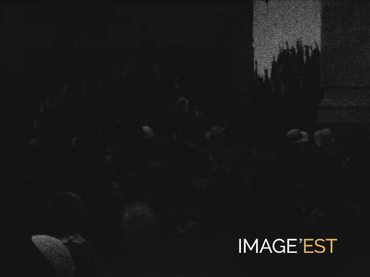 Rassemblement public