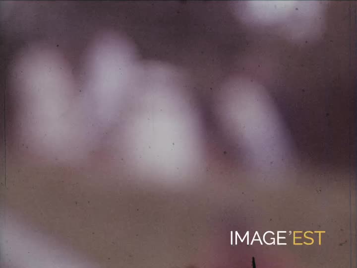 Vie quotidienne dans la Marne