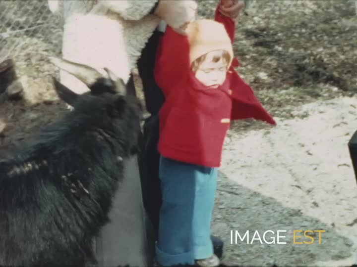 Zoo à Auvillers-les-Forges (Ardennes)