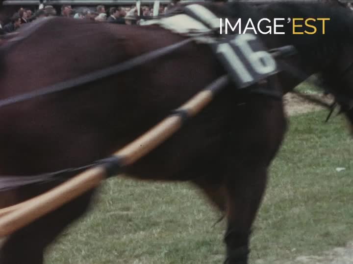 Course hippique à Reims (Marne)