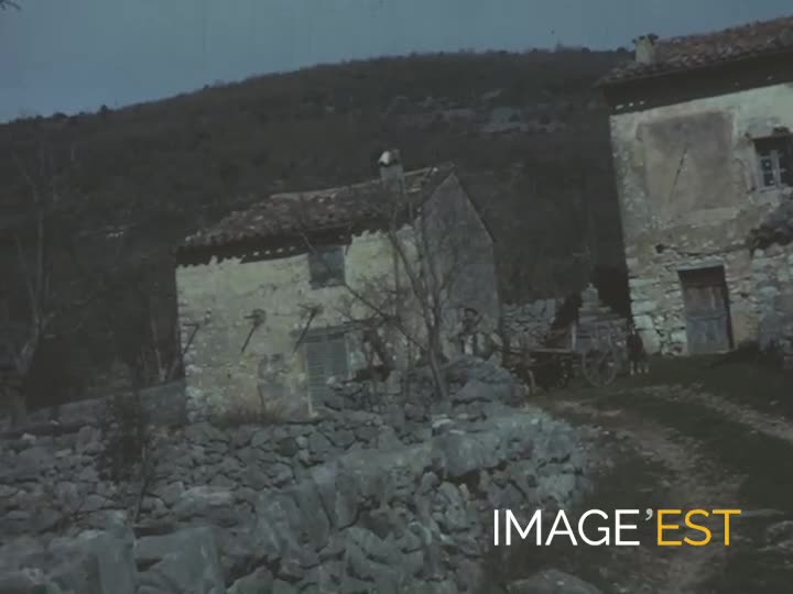 Portrait d'un paysan 