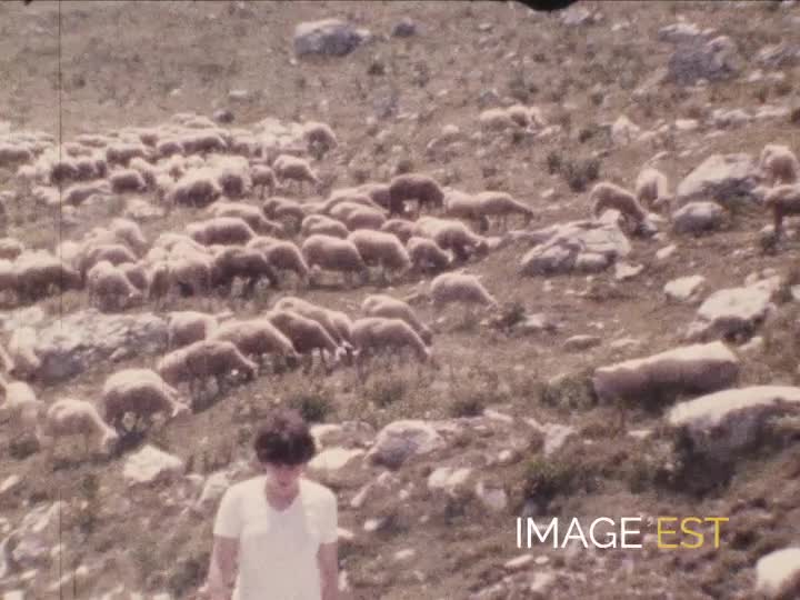 Randonnée en montagne