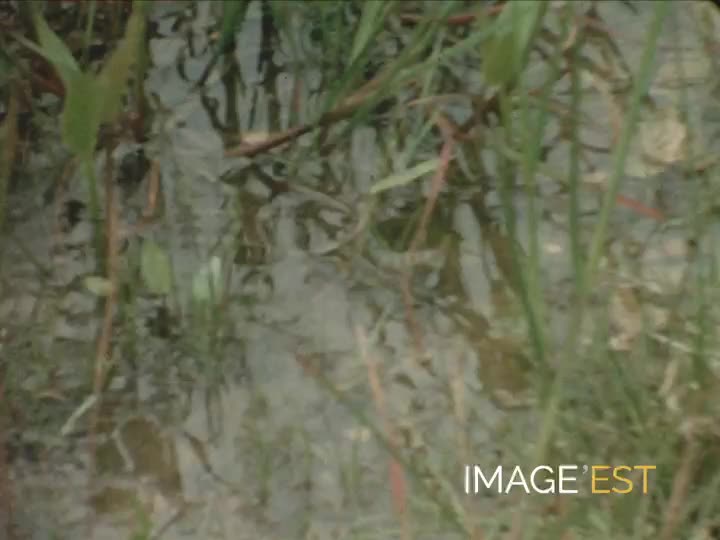 Chasse et pêche dans les Ardennes