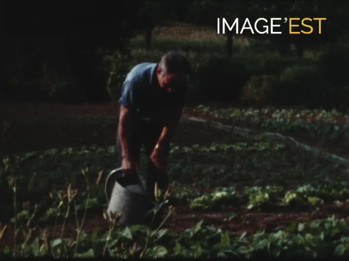 Dans le jardin de Léon à Etrepigny (Ardennes)