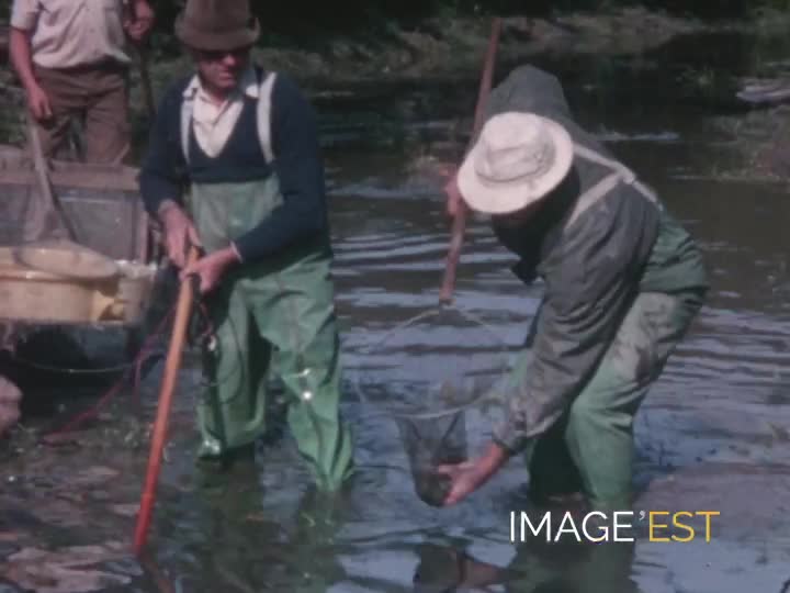 Pêche dans un ruisseau