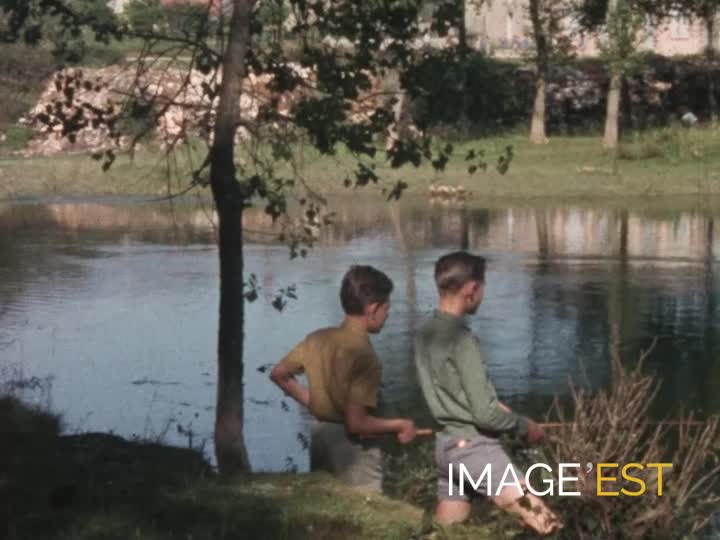 Pêche et cueillette dans la Marne