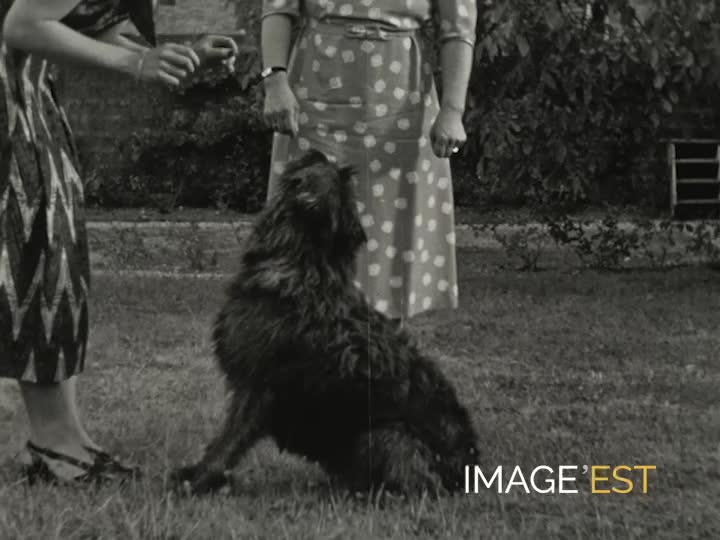 Retrouvailles familiales