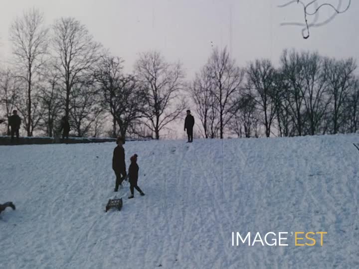 Luge sur une colline enneigée