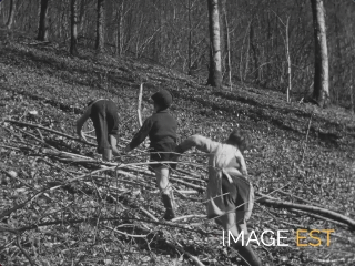 Jeux dans les bois d'Autigny-le-Petit