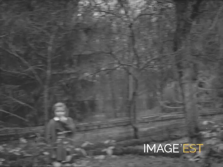 Jeu d’anneaux dans le jardin à Chauny (Aisne)