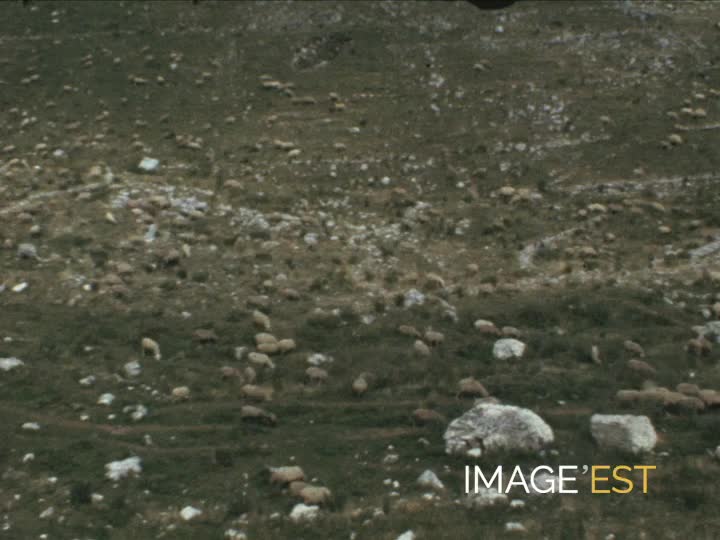 Scènes de vie dans les montagnes italiennes