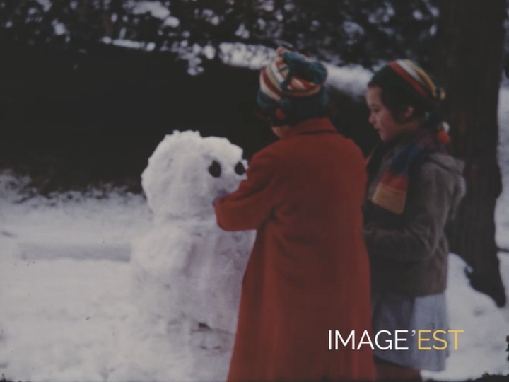 Feuilles mortes et bonhomme de neige à Épernay (Marne)