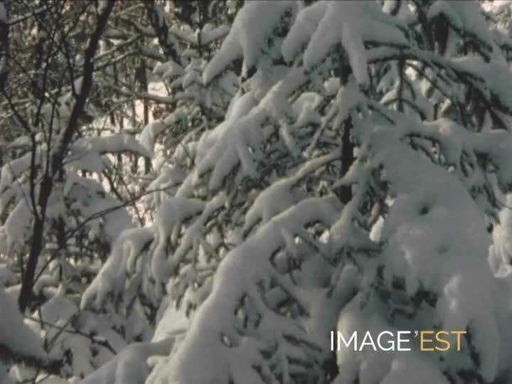 Hiver à Fumay (Ardennes)