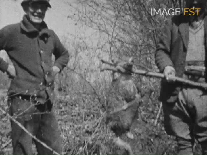 Chasse au renard et pêche