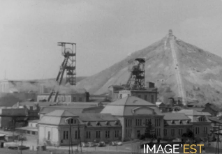 "Extraction moderne"