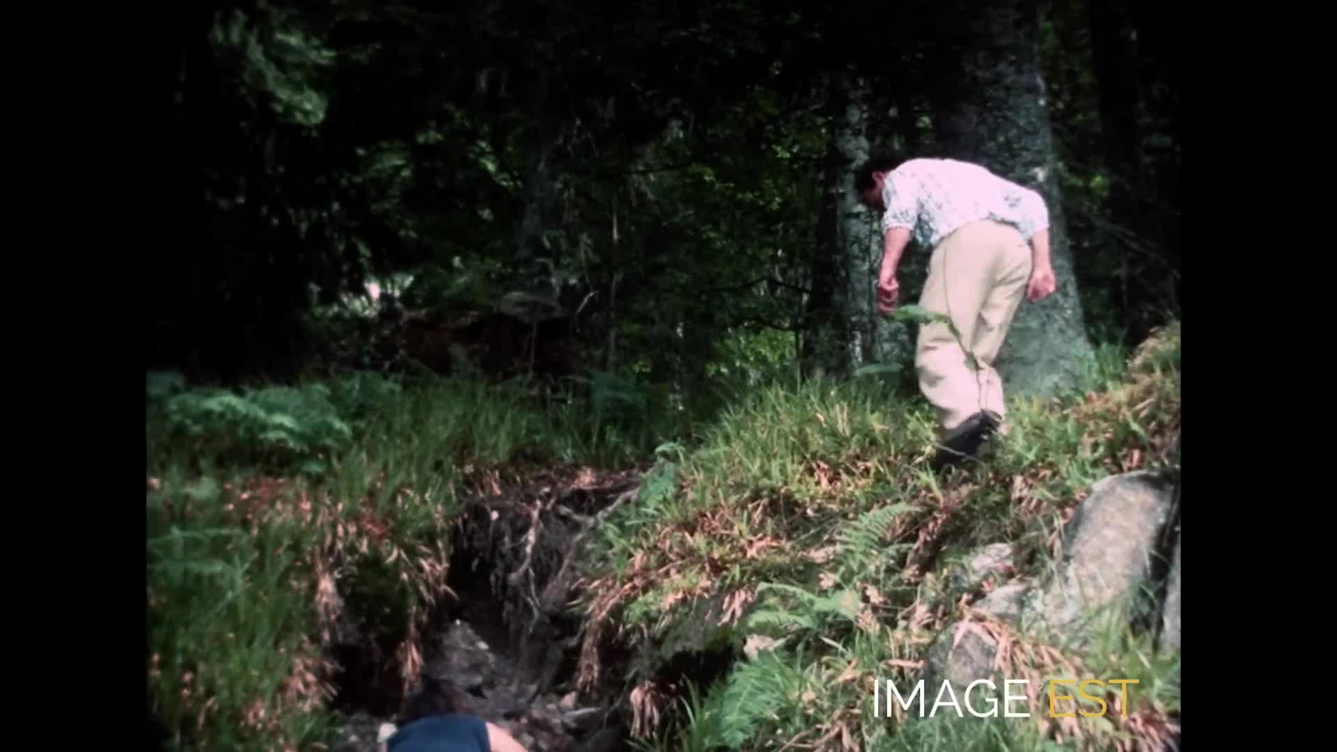 "Un goût de myrtille" (fiction)