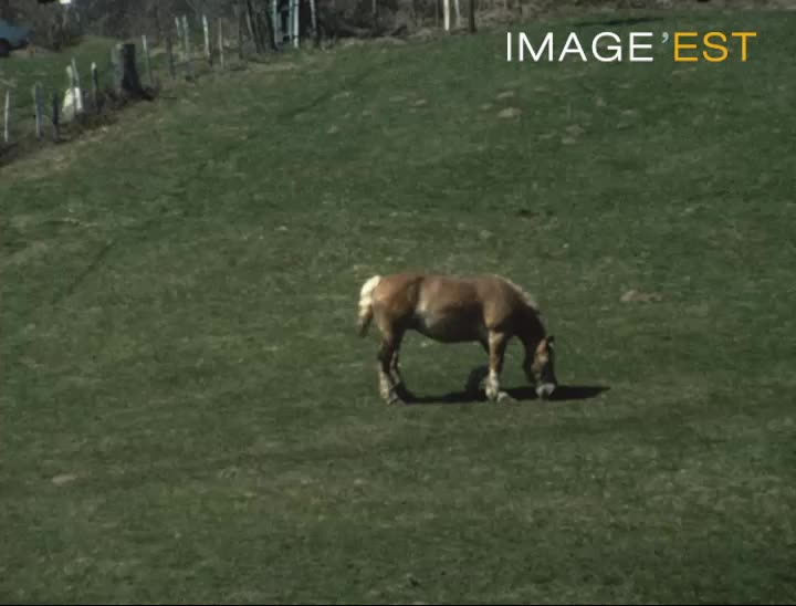 A la ferme-auberge de la Glashütte à Rimbach-près-Guebwiller