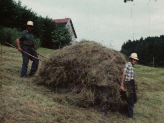 "La fenaison dans les Vosges"