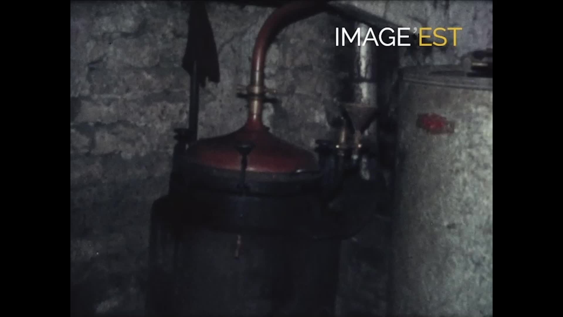 Distillation de la mirabelle (La)