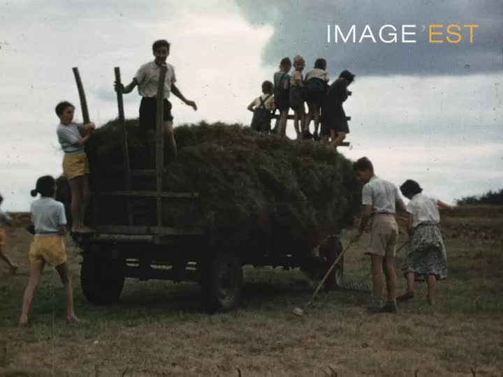 Enfants et fenaison près d'Arrans