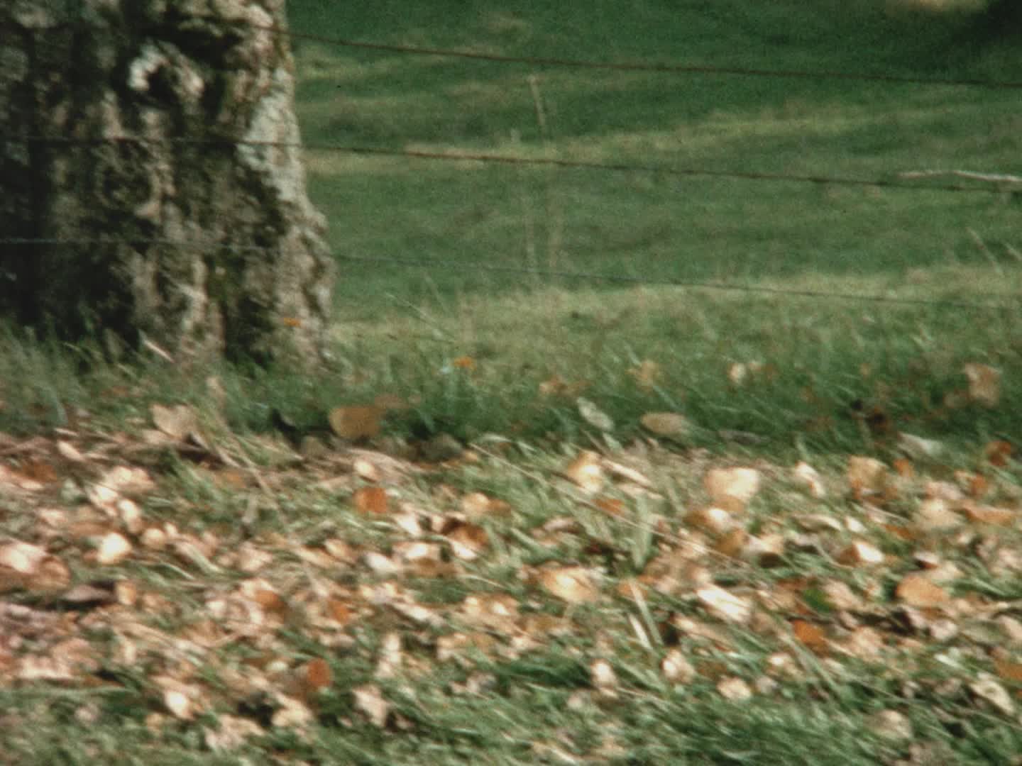 Automne à Warnécourt (Ardennes)