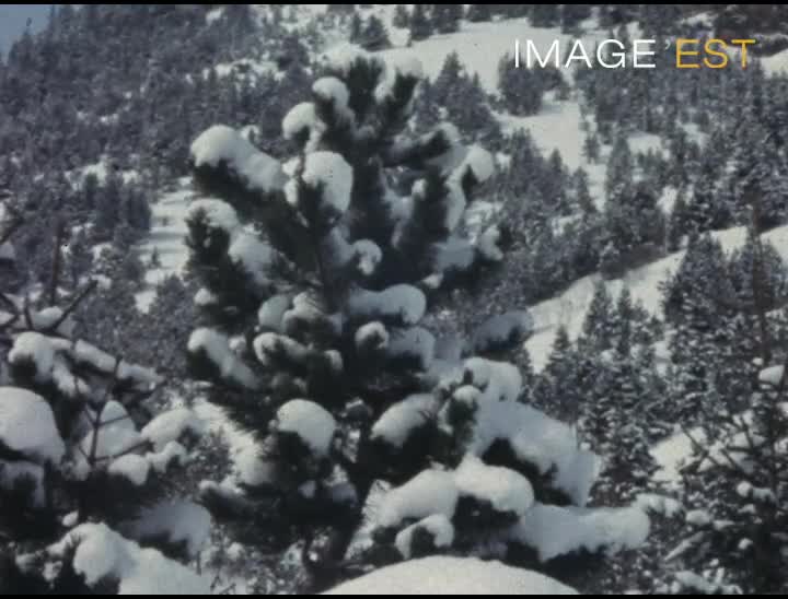 Camp de neige à Pralognan "Le pourpre et l'argent"