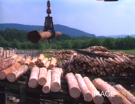 Sélection Vosges “Le meilleur de la forêt vosgienne“