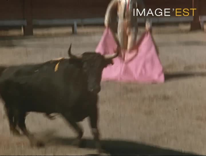 Corrida à Collioure