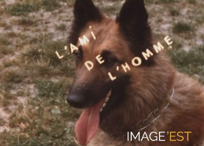 "L'ami de l'homme"