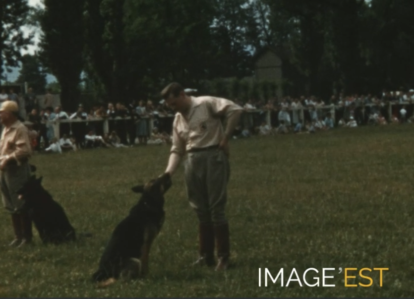 Concours canin