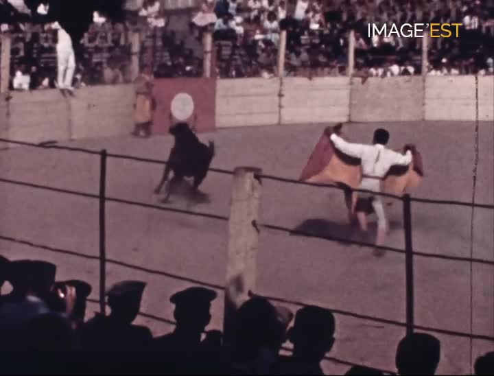 Corrida à Toul