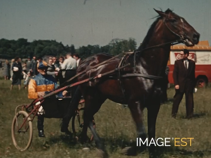 Courses à l'Hippodrome de Brabois (Vandoeuvre-lès-Nancy, Meurthe-et-Moselle)