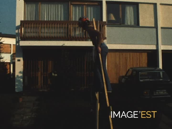 Échassier au quartier des cheminots de Vandoeuvre-lès-Nancy (Meurthe-et-Moselle)