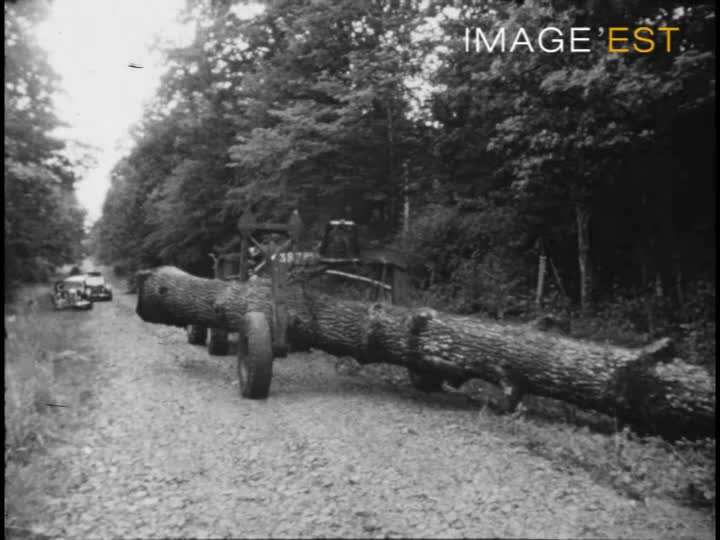 "La Lorraine" Film pédagogique