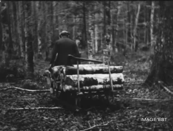 Bûcherons, schlittage et scierie dans les Hautes-Vosges