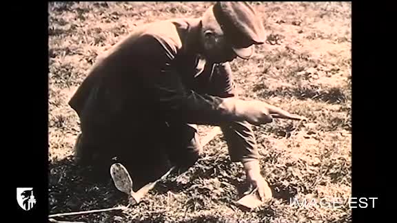 Travail du taupier à Crupet (Belgique) (Le)