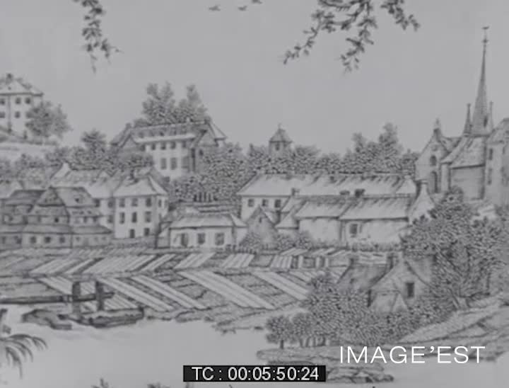 Industrie du coton à Mulhouse 1800-1850 (L')